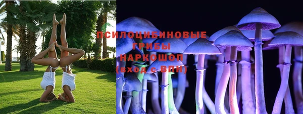 экстази Алексин